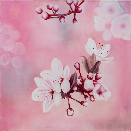 Cherry Blossom Bloom